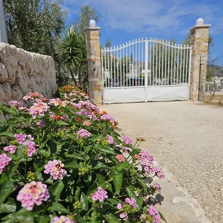 Ginevra Farm stay