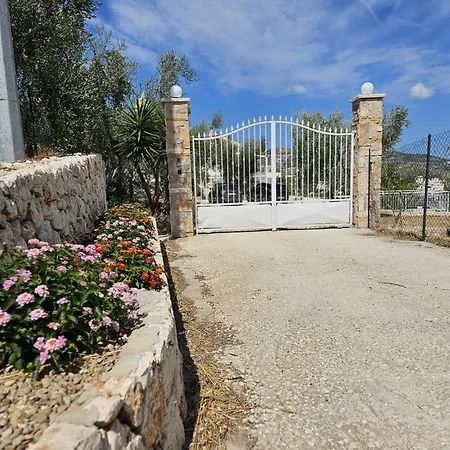 Ginevra * Mattinata